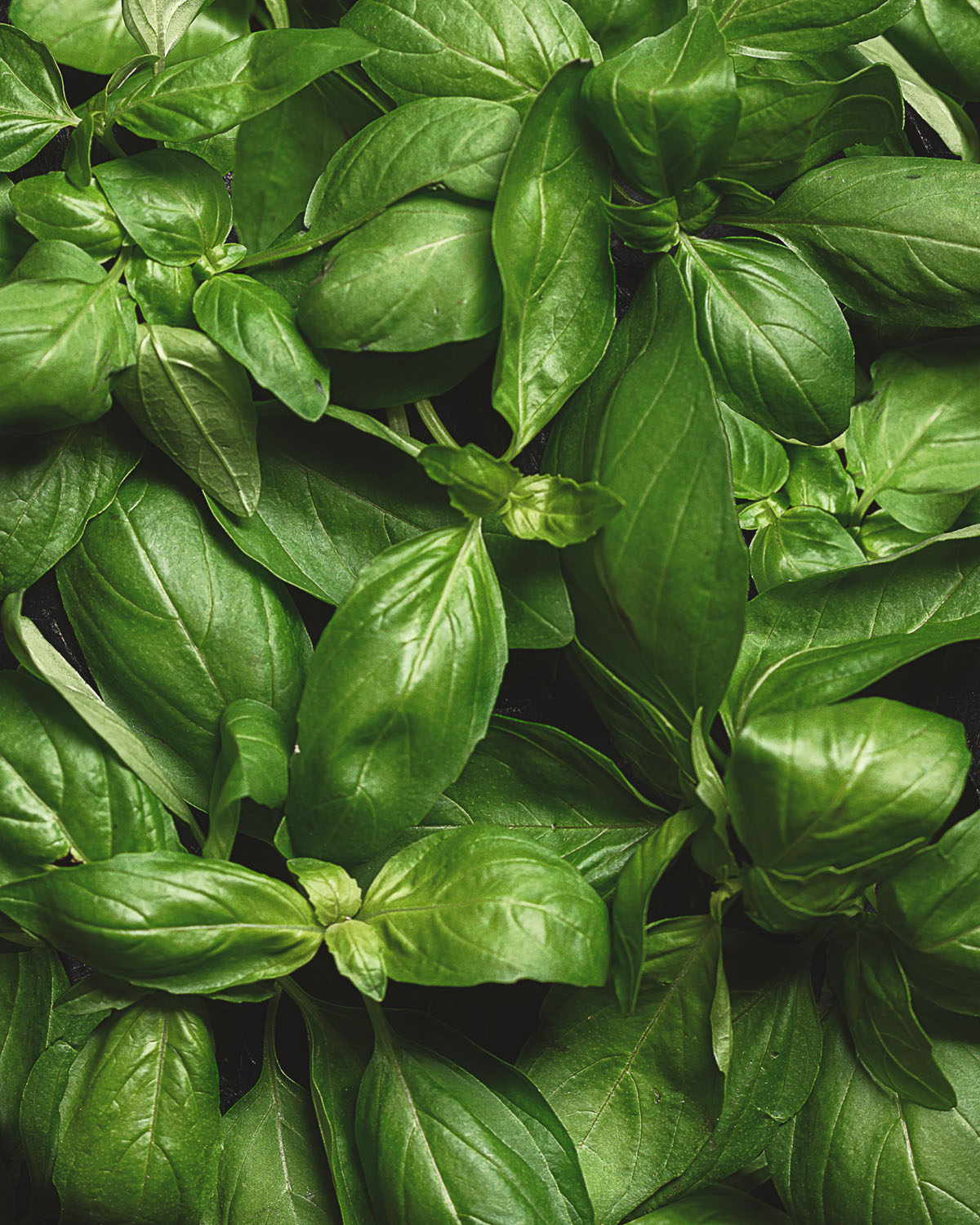 Cooking photography